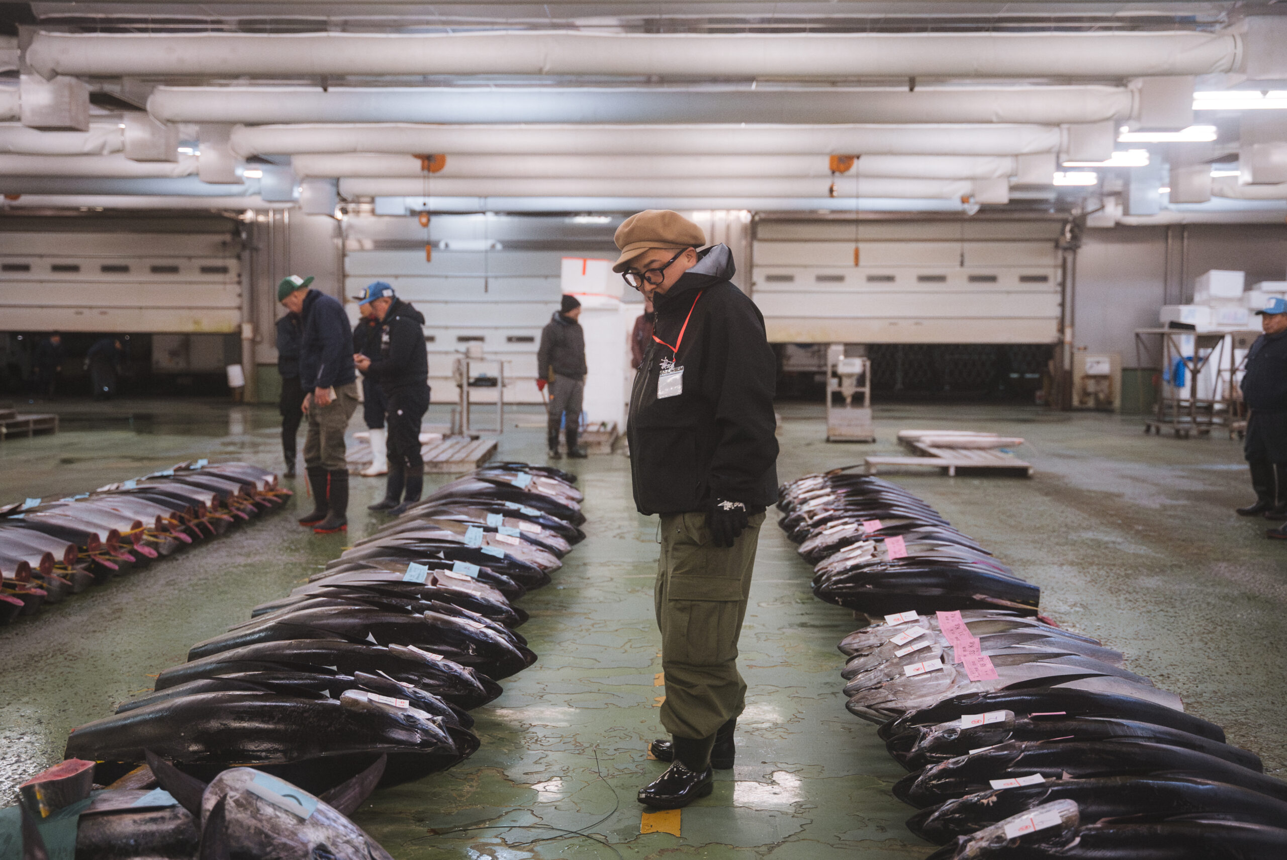 buyer inspecting fresh tuna lined up on the floor at a Japanese fish market