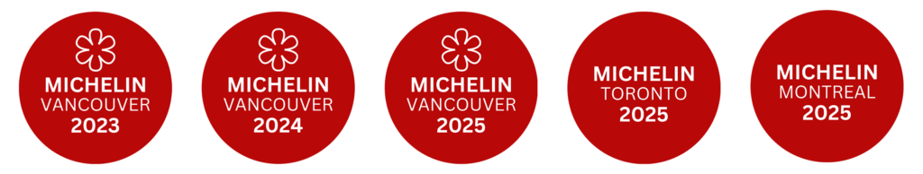 Michelin Logos